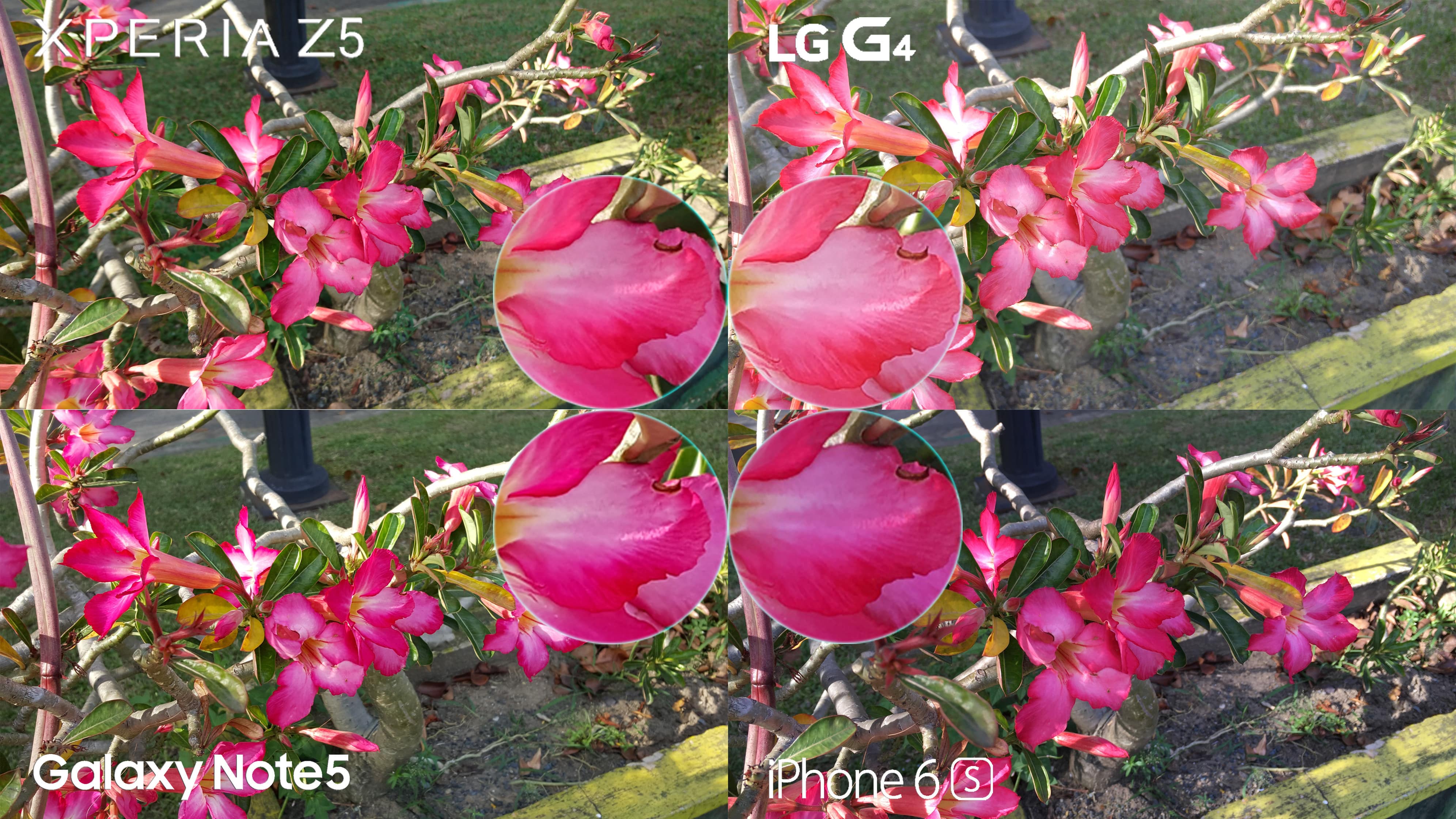 xperia-z5-lg-g4-iphone-6s-galaxy-note-5-camera-review-comparison5-min