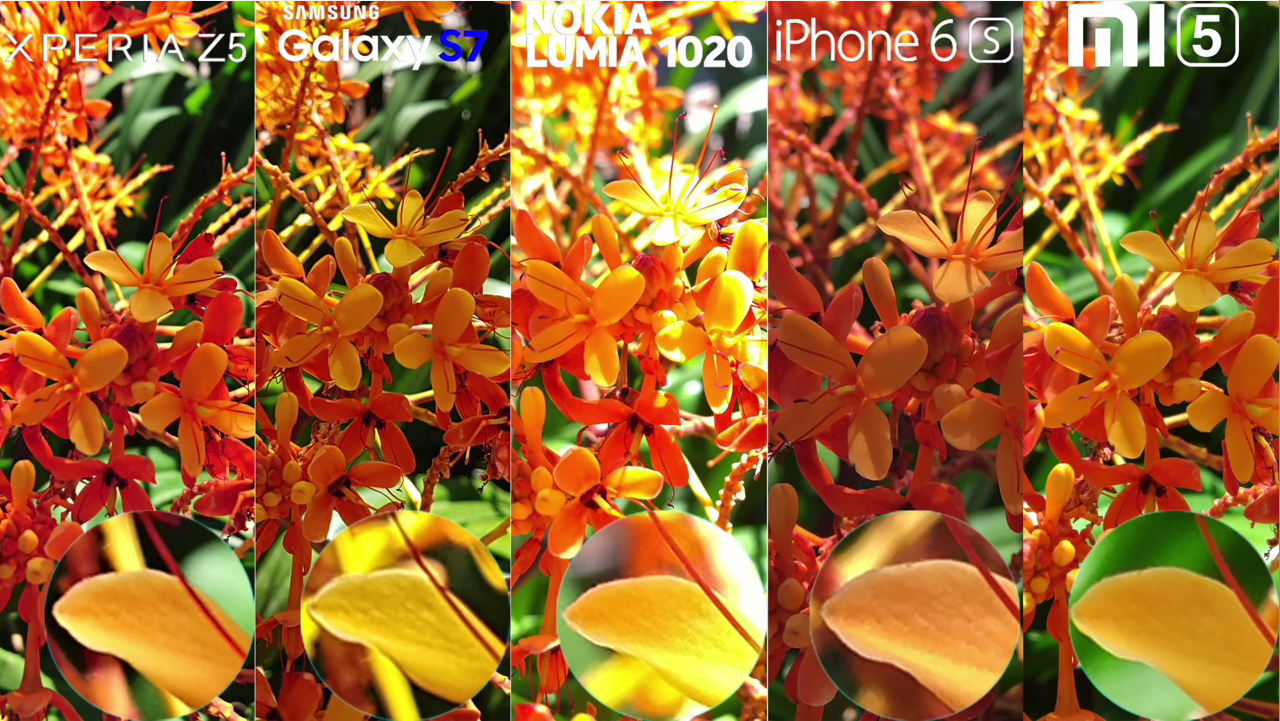 GalaxyS7_XperiaZ5_iphone6s4